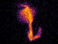 1604629753349714.jpg undefined